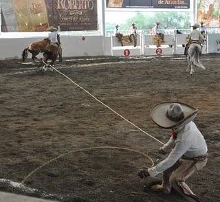 Hacienda Serena Grata Sorpresa