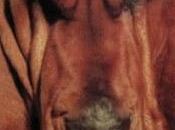 Segall Goodbye Bread