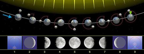 La Luna saldrá completamente eclipsada hoy