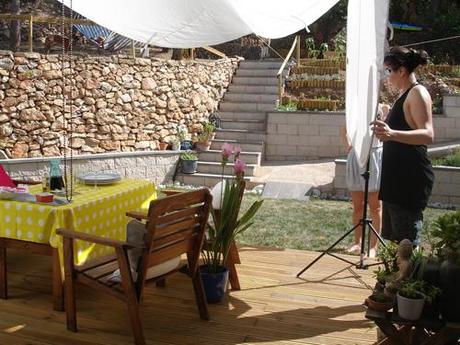 am_137722_4477423_301425