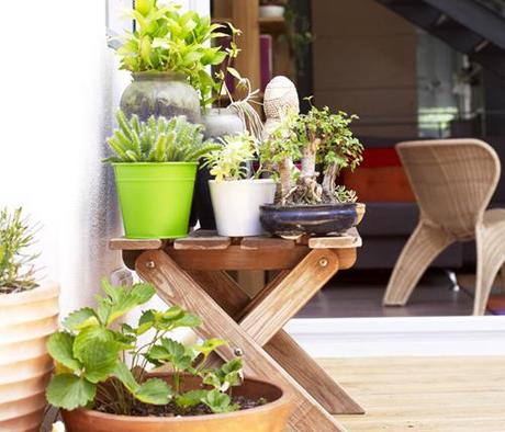 exp11-outdoor-plants-decor-ideas