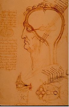 Leonardo Da Vinci y su concepto de los ojos
