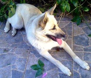 ¿Por qué tienen que pasarme estas cosas a mí?