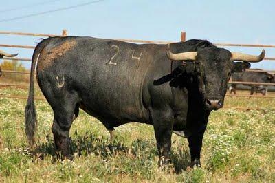 Victorinos para Graná