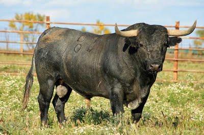 Victorinos para Graná