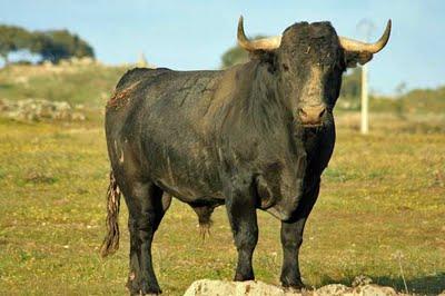 Victorinos para Graná