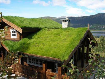 TECHOS VERDES SUECOS