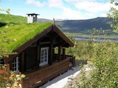 TECHOS VERDES SUECOS