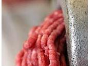 E.coli comen animales comemos