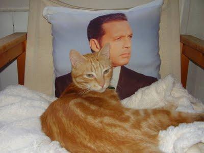 Nano, gatito perdido, es muy bueno y está muy asustado!!! (Madrid)