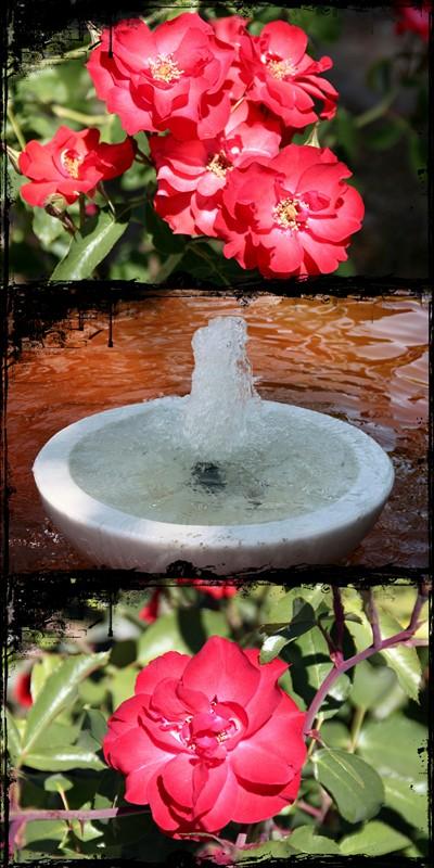 MamaPepita & Buharia Palace