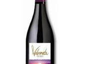 Volvoreta Probus 2008