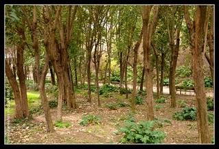 La Quinta de la Fuente del Berro