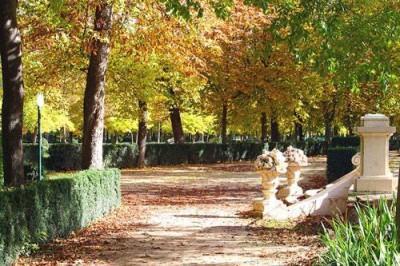 Jardinería en Otoño
