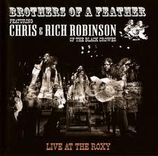 Chris & Rich Robinson Brothers of a feather (2007)