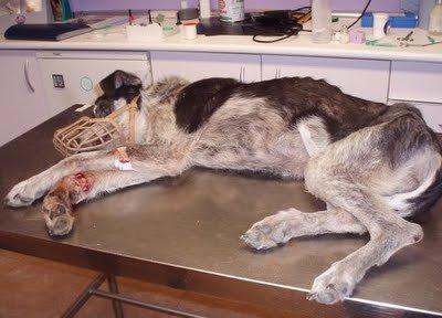 Delia, imposible imaginar cuanto dolor