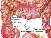 importancia limpieza intestinal