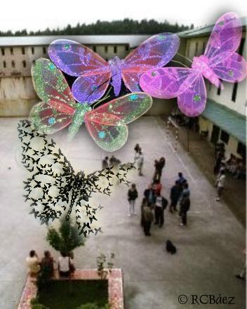 Tony: Patio sin mariposas y otras cosas