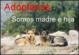 ADOPTAME