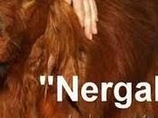 busca Nergal"