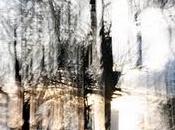 Exposición Pilar Perea 'Paraísos Protegidos' Ateneo Madrid