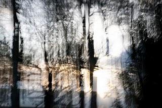 Exposición de Pilar Perea “Paraísos Protegidos” en el Ateneo de Madrid.