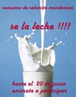 Flan De Queso Flan De Queso