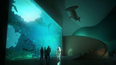 GUIJARROS BATUMI ACUARIO | HENNING LARSEN ARQUITECTOS