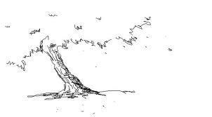 A través del viento
