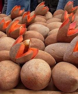 Zapote,elimina piojos,y da brillo al cabello