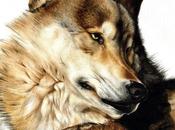 invisible: algo para