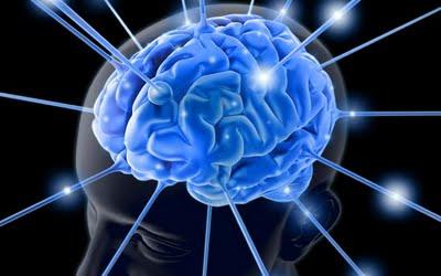 PRÓTESIS QUE DUPLICA LA CAPACIDAD DE LA MEMORIA