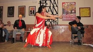 Poesía y Flamenco. Éxito en Málaga.