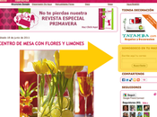 Cómo recibir nuestros post mail