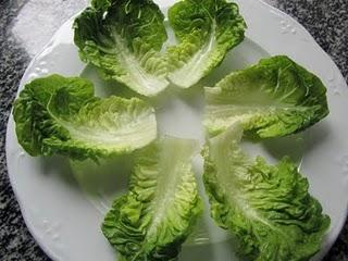 BARQUITAS DE LECHUGA