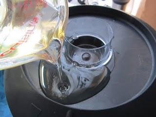 BARQUITAS DE LECHUGA