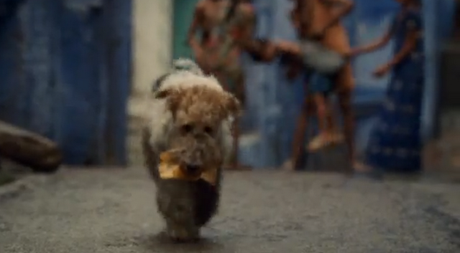 ¿Quién quiere un amigo así?