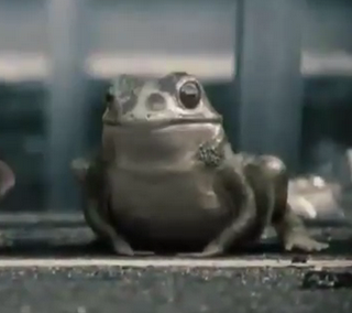 Si yo fuera humano...