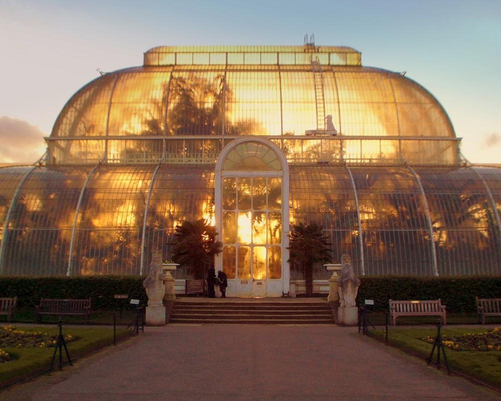 La Arquitectura como Técnica: Palm House en Kew Gardens
