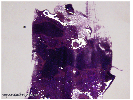 Reseña: Violeta Salvaje de Cutex Reseña: Violeta Salvaje de Cutex