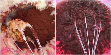 GALLETAS GRANO DE CAFÉ GALLETAS GRANO DE CAFÉ