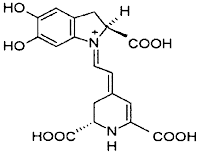 Las dos caras del E-162