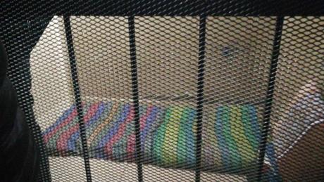 La dictadura de Bolivia atenta contra la vida de Gustavo Torrico