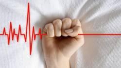 Vive y deja vivir. Vive y deja vivir.