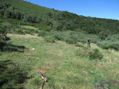 Las Puentes-Torones-Bostabide-Piedrafita-Navidiellu