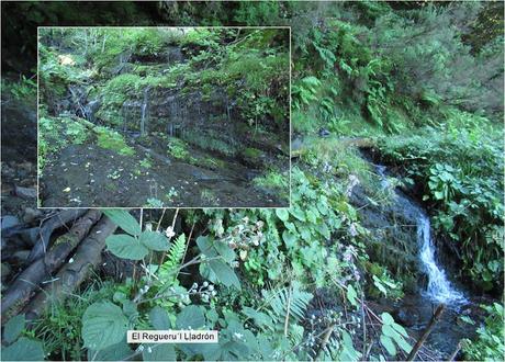 Las Puentes-Torones-Bostabide-Piedrafita-Navidiellu