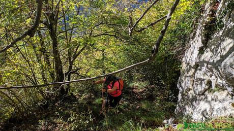 Tramo entre vegetación subiendo a la zona alta de la Sierra de Pelúgano