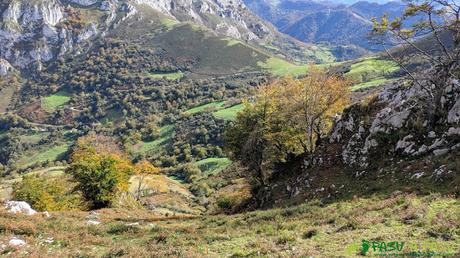 RUTA al PICO FORMOSO (Fermosu) desde PELÚGANO, ALLER Ladera por la que descendemos hacia la pista que va a la Collada Pelúgano