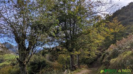 RUTA al PICO FORMOSO (Fermosu) desde PELÚGANO, ALLER RUTA al PICO FORMOSO (Fermosu) desde PELÚGANO, ALLER