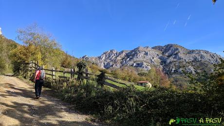 RUTA al PICO FORMOSO (Fermosu) desde PELÚGANO, ALLER Peña Mea subiendo por la pista al Collado Pelúgano